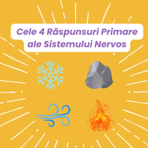 Cele 4 Răspunsuri Primare ale Sistemului Nervos